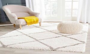 Are Shaggy Rugs the Ultimate Comfort Oasis for Your Home?