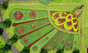 Landscaping Trends: How Artificial Turf is Revolutionizing Urban Gardens